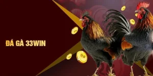 Đá Gà 33WIN - Sân Chơi Đẳng Cấp Dành Cho Các Kê Thủ thomo